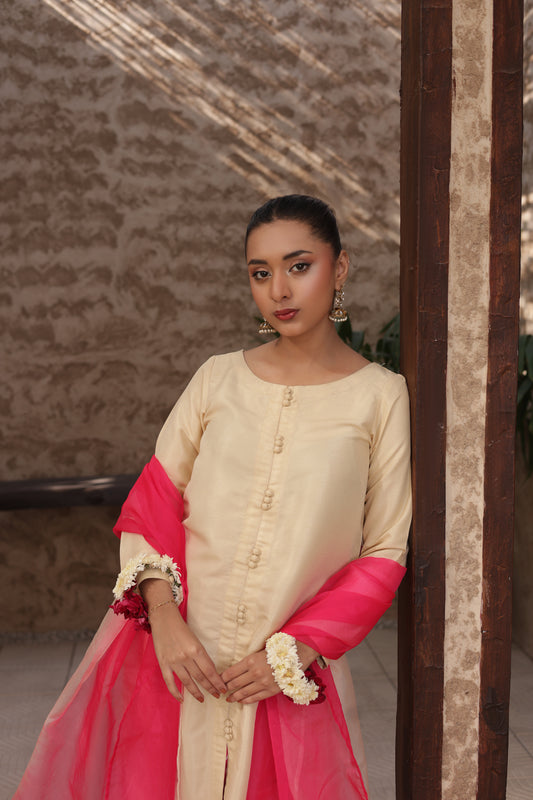 Gul